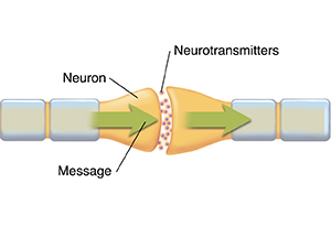 Closeup of synapse showing neurotransmitters between healthy neurons. Arrows show message moving along neurons.
