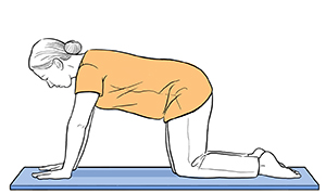 Woman on all fours with back straight.