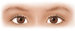 Vista frontal de los ojos de un niño.