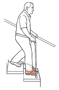 Vista lateral de un hombre con un bastón en las escaleras. La flecha muestra dónde debería poner su pie para bajar las escaleras.